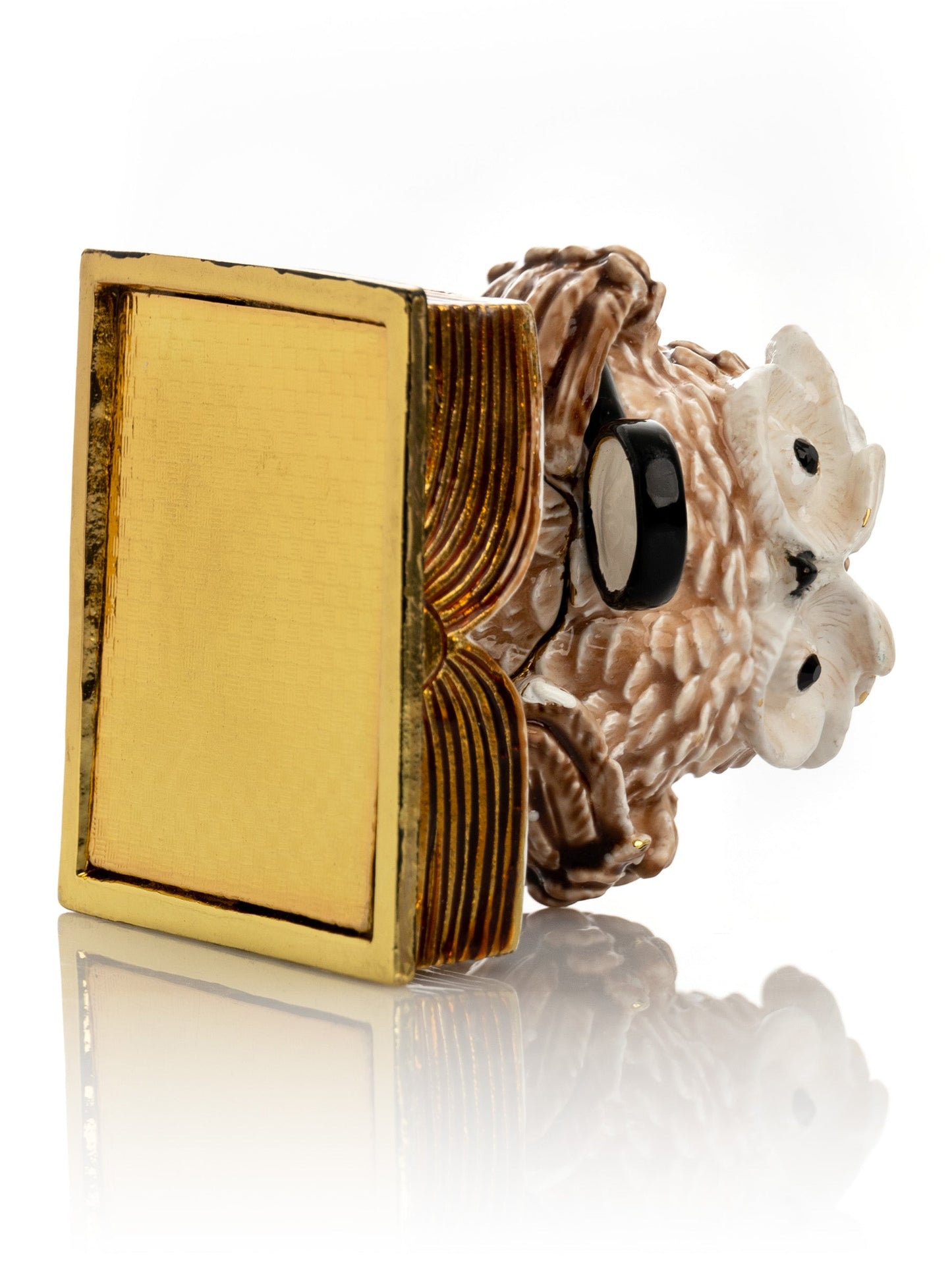 Keren Kopal Owl Reading a Book