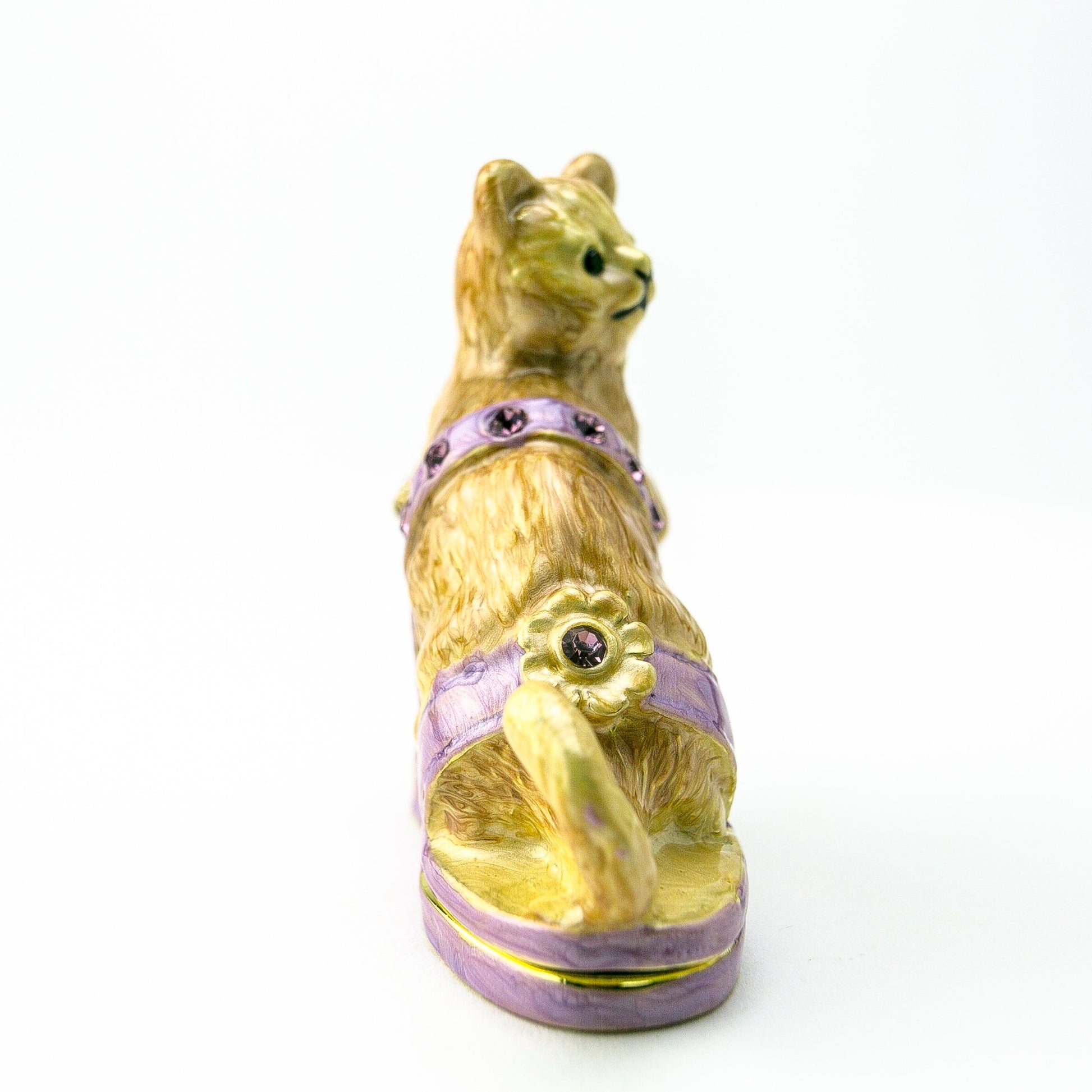 Keren Kopal Cat sitting on an Evening Shoe